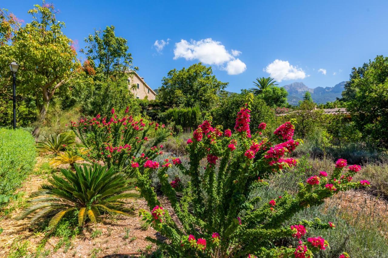 Finca Ca'S Curial - Agroturismo - Adults Only Sóller Exteriör bild