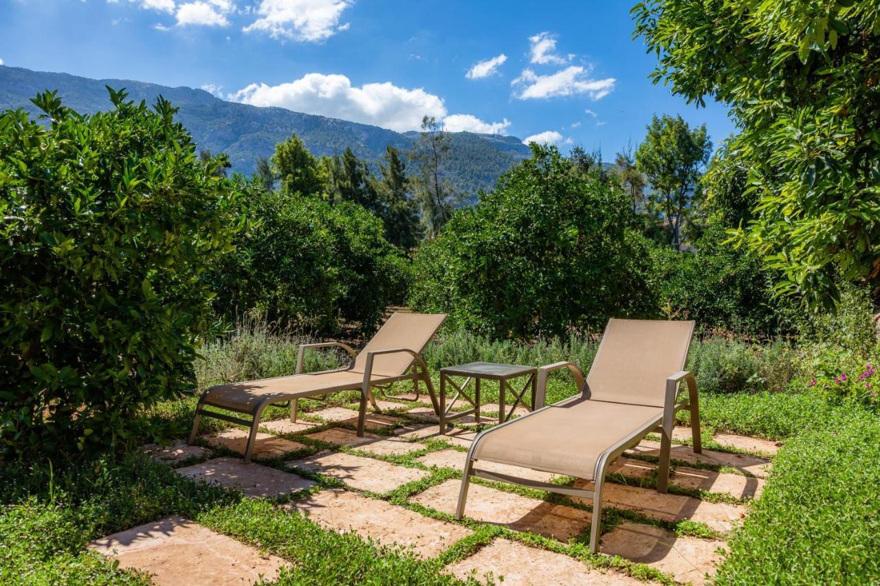 Finca Ca'S Curial - Agroturismo - Adults Only Sóller Exteriör bild