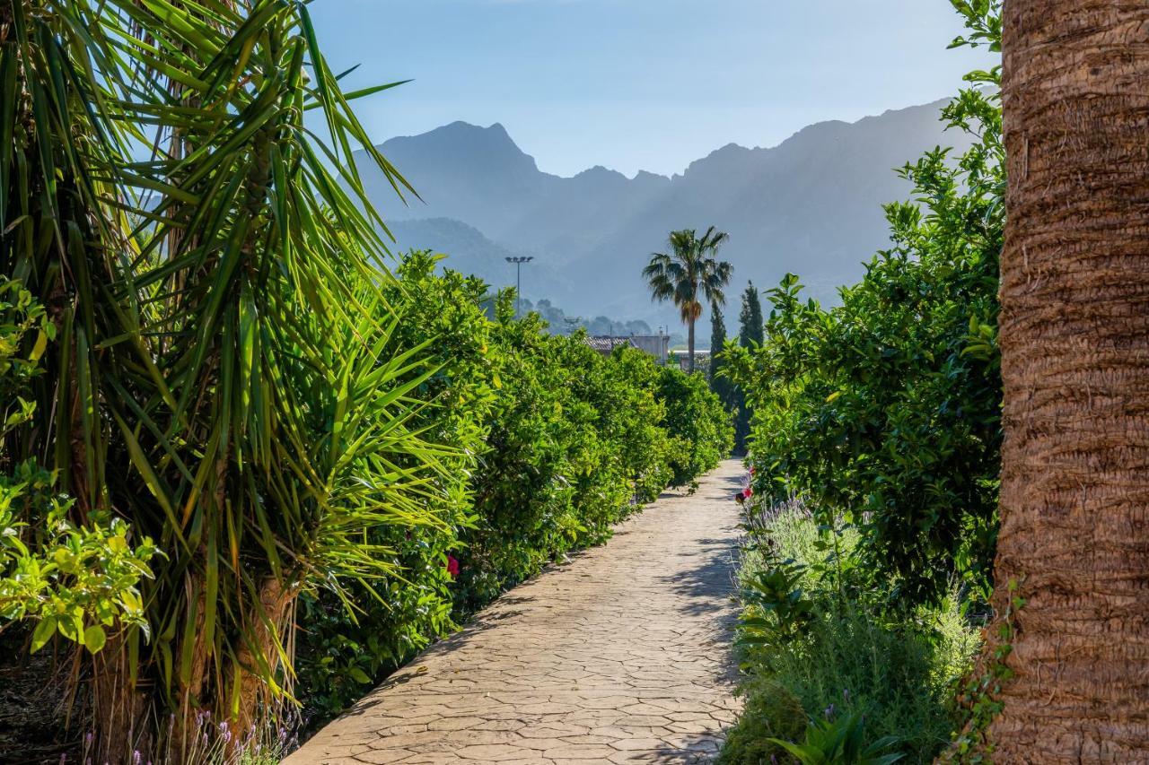 Finca Ca'S Curial - Agroturismo - Adults Only Sóller Exteriör bild