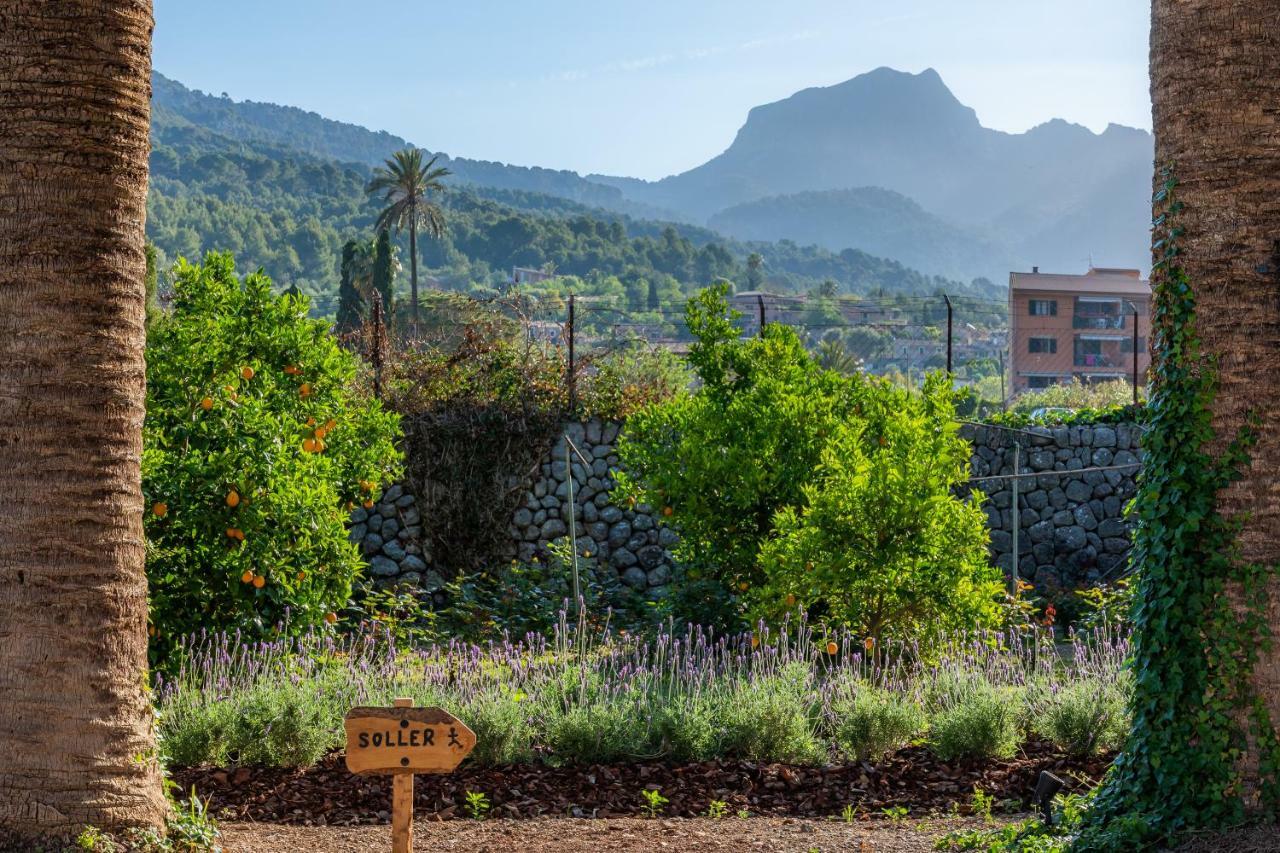 Finca Ca'S Curial - Agroturismo - Adults Only Sóller Exteriör bild