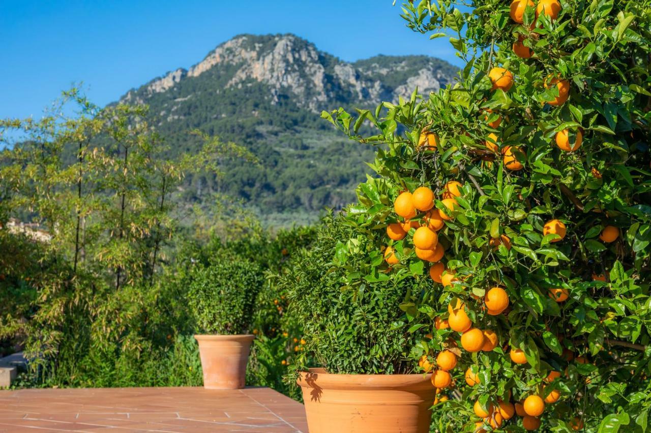 Finca Ca'S Curial - Agroturismo - Adults Only Villa Sóller Exteriör bild