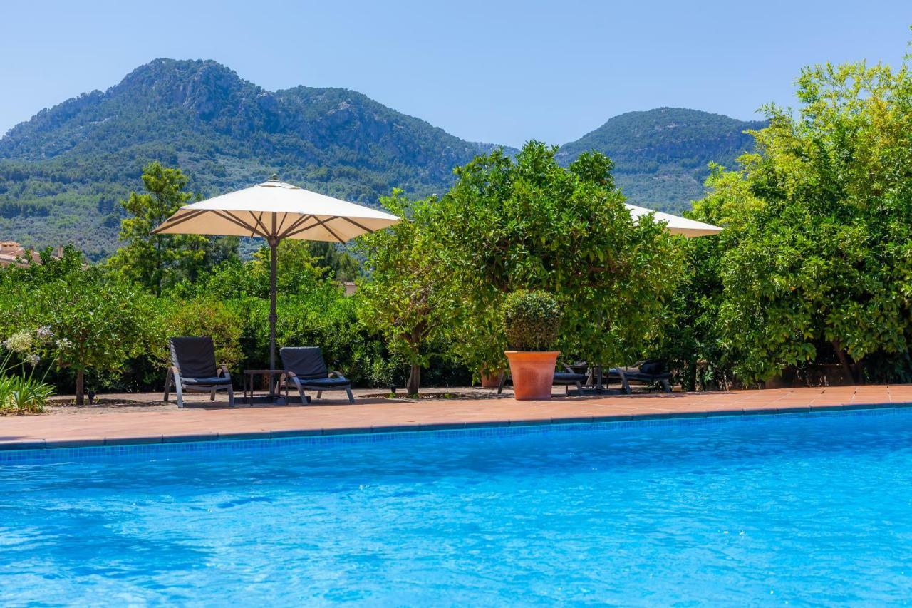 Finca Ca'S Curial - Agroturismo - Adults Only Sóller Exteriör bild